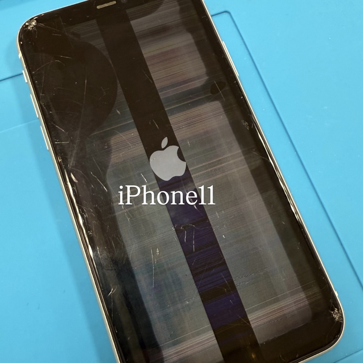 【修理事例】西宮市でiPhone11修理